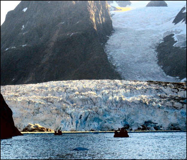 Zodiacs approach Tâterât Glacier