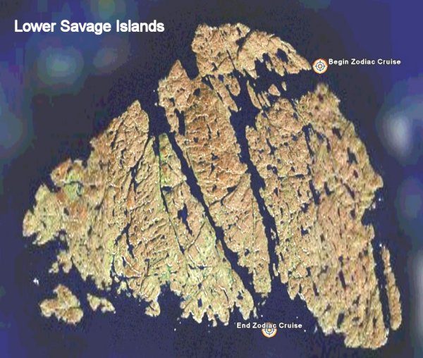 Satellite Image of Lower Savage Islands