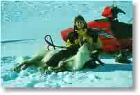 Christine takes down a reindeer